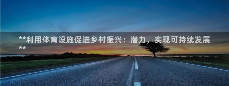 意昂3集团E.ON：**利用体育设施促进乡村振兴：潜