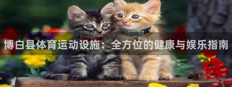意昂3娱乐：博白县体育运动设施：全方位的健康与娱乐指