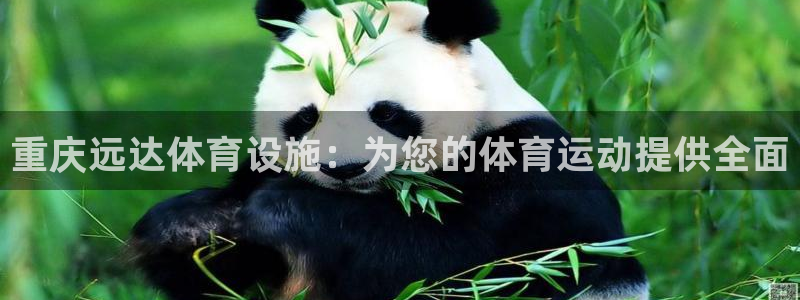 意昂3集团logo：重庆远达体育设施：为您的体育运动