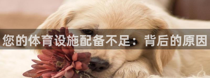 意昂3开户：您的体育设施配备不足：背后的原因