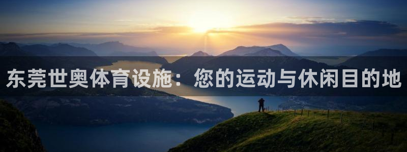 意昂3五金厂：东莞世奥体育设施：您的运动与休闲目的地