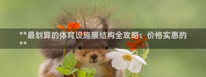 意昂体育3开户：**最划算的体育设施膜结构全攻略：价