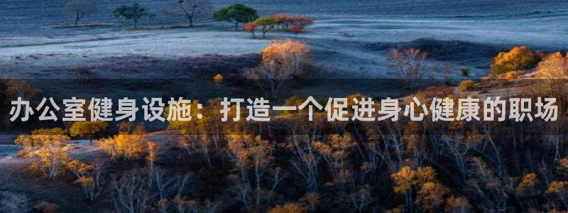 意昂3娱乐是那个系列的台子：办公室健身设施：打造一个