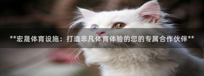 意昂体育3平台注册流程视频：**宏晟体育设施：打造非