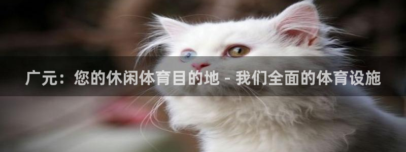意昂体育3平台注册流程图：广元：您的休闲体育目的地 