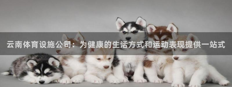 意昂体育3招商电话号码是多少号：云南体育设施公司：为