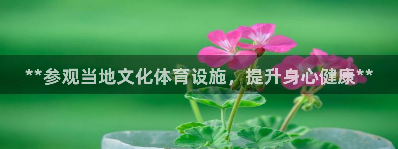 意昂3代理：**参观当地文化体育设施，提升身心健康*