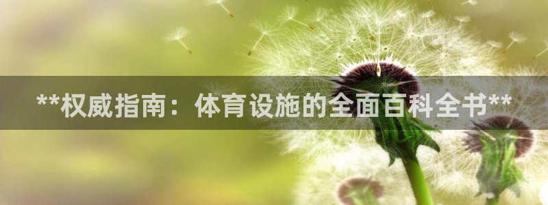 意昂体育3软件：**权威指南：体育设施的全面百科全书