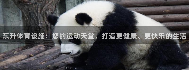 意昂体育3招商电话是多少号码：东升体育设施：您的运动