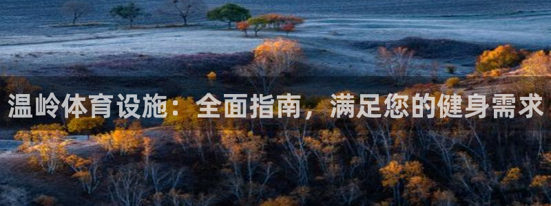 意昂3新能源：温岭体育设施：全面指南，满足您的健身需