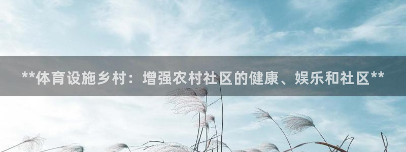 意昂体育3官方客服电话：**体育设施乡村：增强农村社