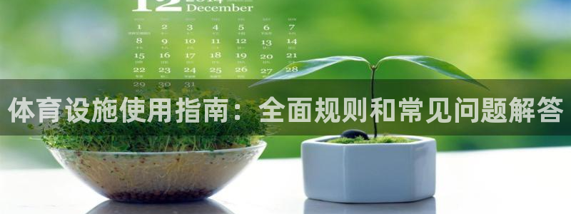 意昂3集团官网首页网址：体育设施使用指南：全面规则和