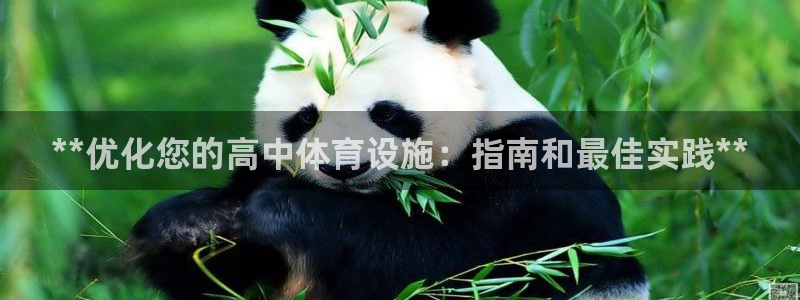 意昂3娱乐网站：**优化您的高中体育设施：指南和最佳