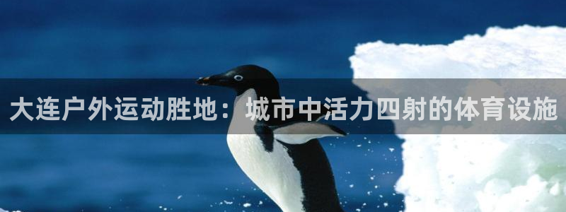 意昂体育3招商：大连户外运动胜地：城市中活力四射的体
