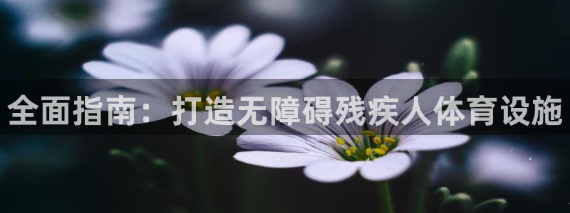 意昂3集团官网首页网址：全面指南：打造无障碍残疾人体