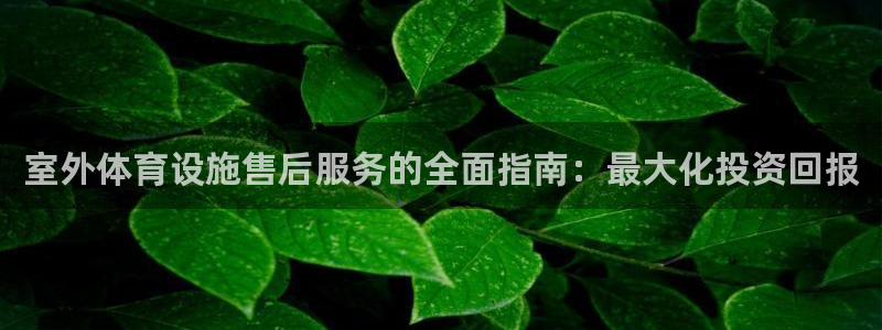 意昂集团官网：室外体育设施售后服务的全面指南：最大化