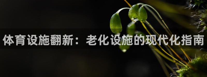 意昂体育3平台注册要钱吗：体育设施翻新：老化设施的现