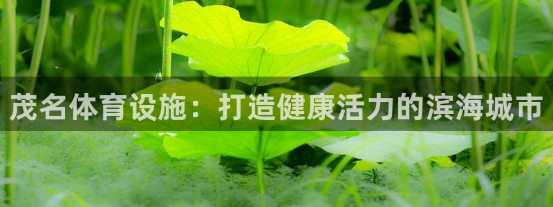 意昂3官网：茂名体育设施：打造健康活力的滨海城市