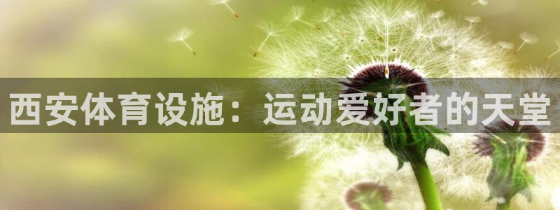 意昂体育3软件：西安体育设施：运动爱好者的天堂