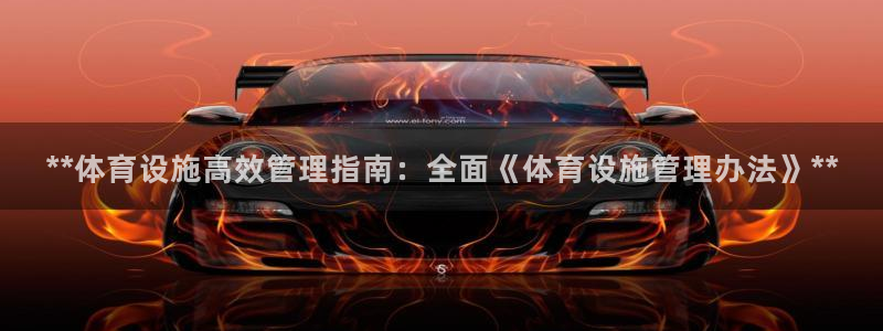 德国意昂3集团：**体育设施高效管理指南：全面《体育