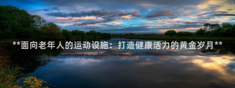 海南意昂体育3发展怎么样：**面向老年人的运动设施：