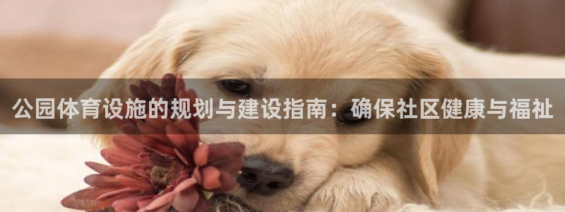 意昂3娱乐平台：公园体育设施的规划与建设指南：确保社