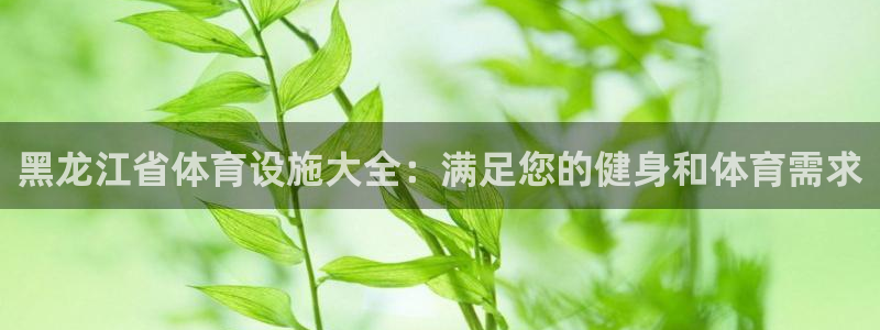 意昂3娱乐首页网站大全：黑龙江省体育设施大全：满足您