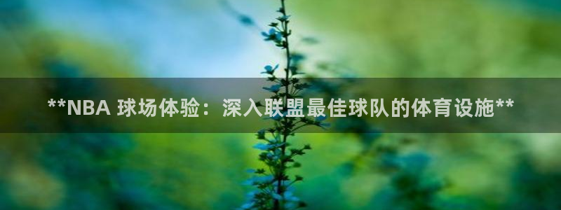 德国意昂3集团：**NBA 球场体验：深入联盟最佳球
