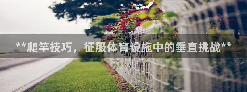 意昂体育3娱乐：**爬竿技巧，征服体育设施中的垂直挑