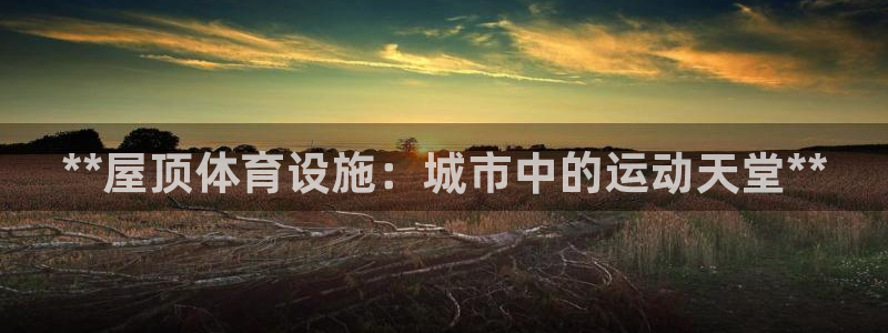 意昂3集团E.ON：**屋顶体育设施：城市中的运动天