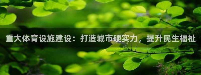 意昂体育3软件：重大体育设施建设：打造城市硬实力，提
