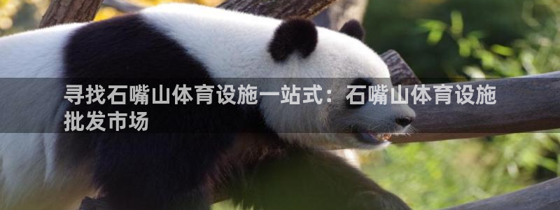 意昂3科技：寻找石嘴山体育设施一站式：石嘴山体育设施