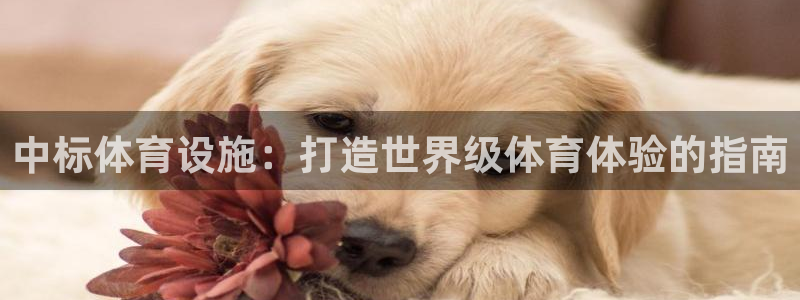 意昂3集团官网首页网址：中标体育设施：打造世界级体育