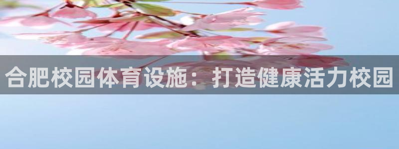 意昂体育3招商电话地址是多少：合肥校园体育设施：打造