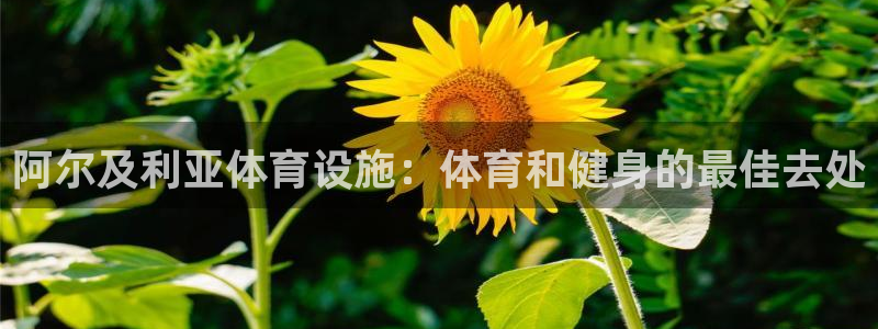 意昂3神州：阿尔及利亚体育设施：体育和健身的最佳去处