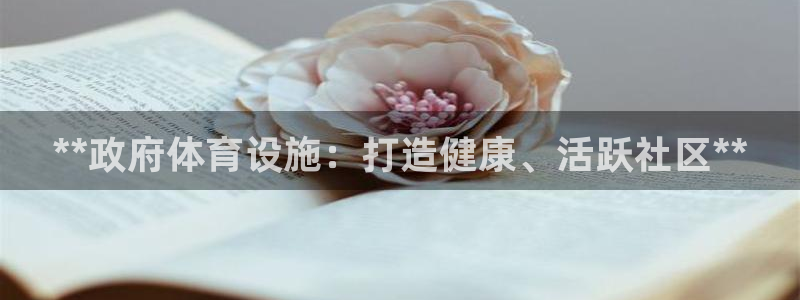 意昂3娱乐首页官网下载：**政府体育设施：打造健康、
