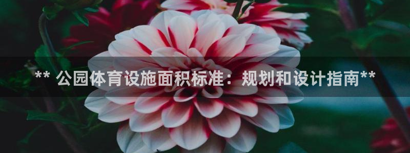 意昂体育3招商：** 公园体育设施面积标准：规划和设