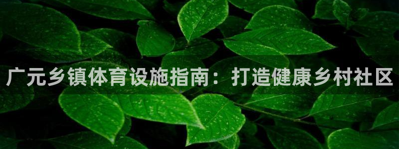 意昂3科技：广元乡镇体育设施指南：打造健康乡村社区