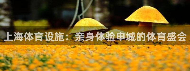意昂体育3招商：上海体育设施：亲身体验申城的体育盛会