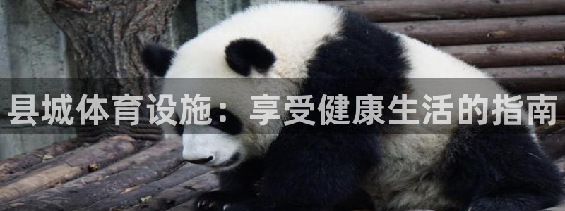 意昂体育3招商电话地址查询：县城体育设施：享受健康生