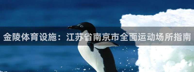 意昂体育3平台注册：金陵体育设施：江苏省南京市全面运