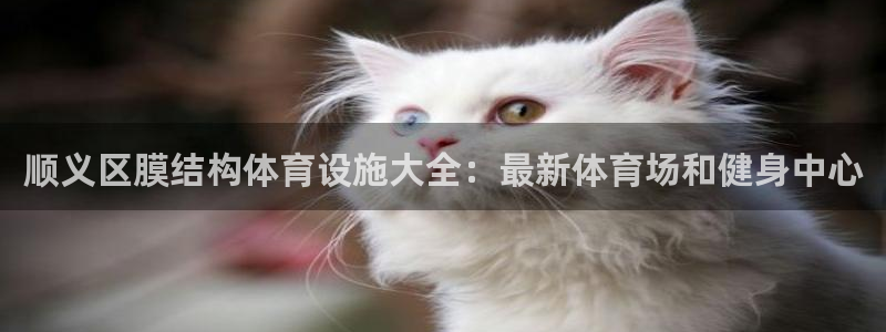 意昂体育3平台注册要钱吗安全吗：顺义区膜结构体育设施