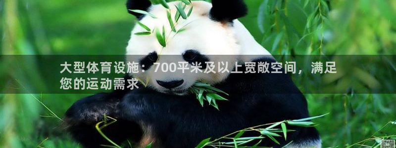 意昂3娱乐首页网站大全：大型体育设施：700平米及以