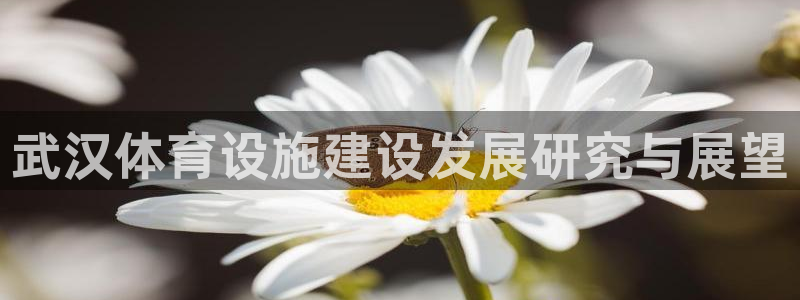 意昂体育3平台是正规平台吗安全吗
