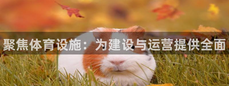 意昂3娱乐首页网站大全