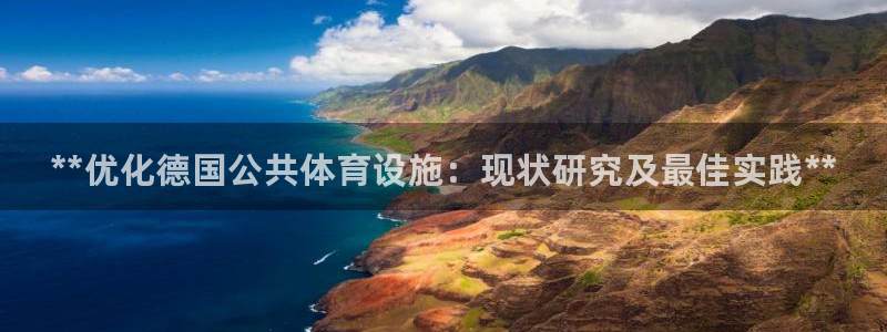 意昂3五金厂：**优化德国公共体育设施：现状研究及最佳实践*