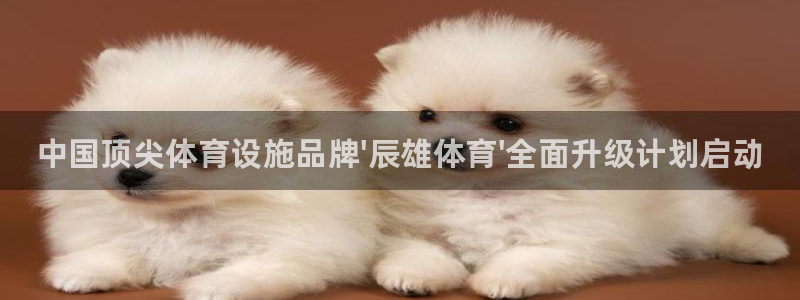 意昂体育3招商电话号码是多少