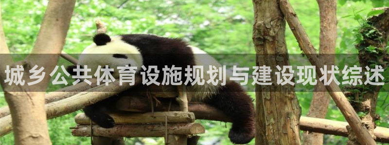 意昂3娱乐平台：城乡公共体育设施规划与建设现状综述