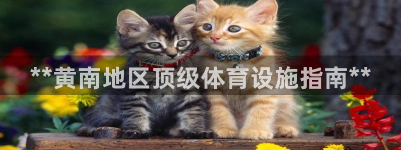 意昂3新能源：**黄南地区顶级体育设施指南**