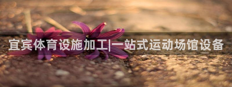 意昂体育3平台是正规平台吗知乎：宜宾体育设施加工|一站式运动